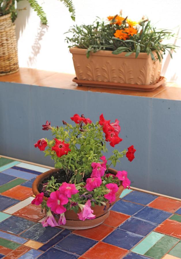 Mom's Appartement *